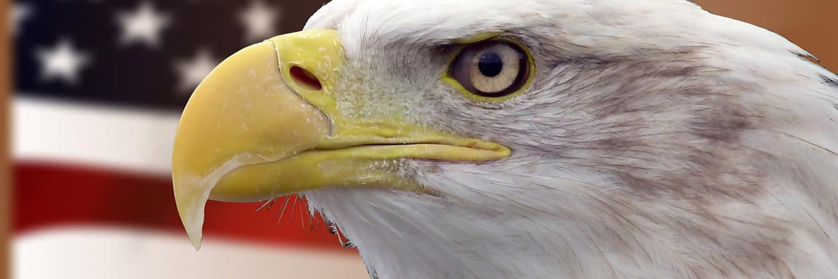 MADE IN USA